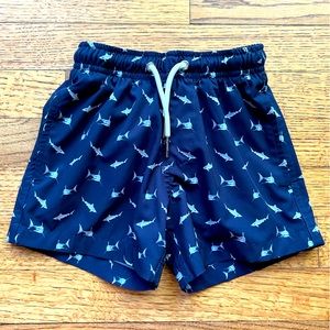 Bermies Boys Swim Trunks